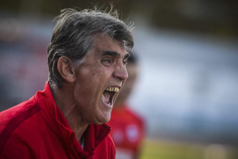 Ντόστανιτς