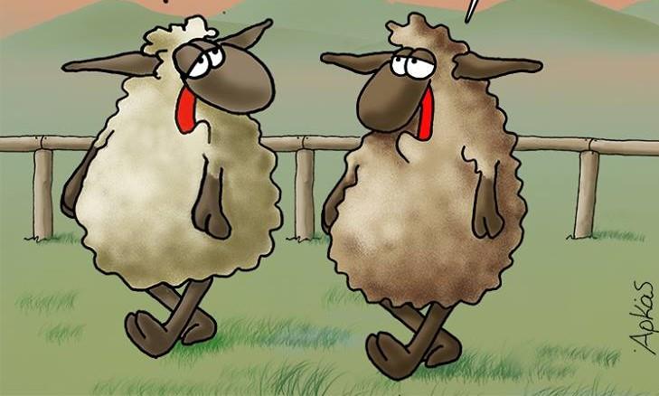 Αρκάς αρνιά αργόστροφο