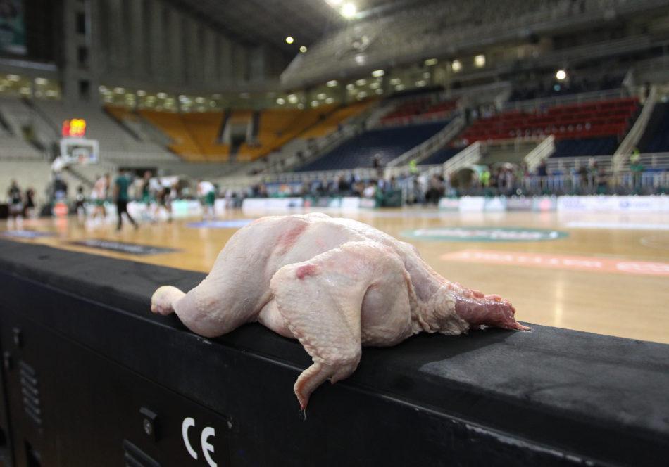 κοτόπουλο