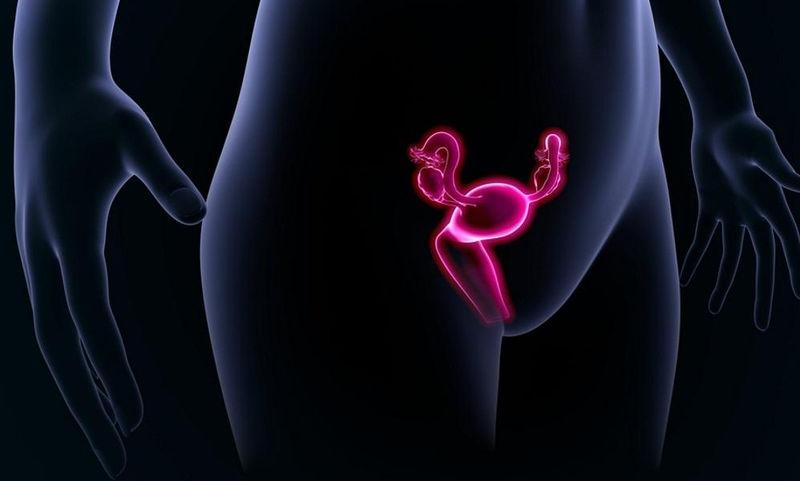 Καρκίνος ωοθηκών Populus