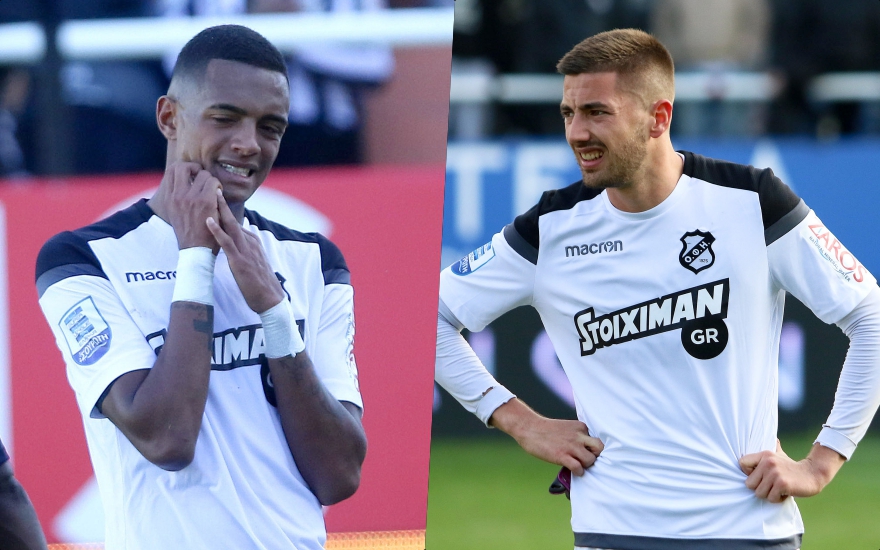 φερέιρα μιχόγεβιτς