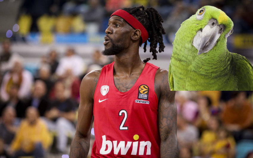 Μπριάντε Γουέμπερ παπαγαλάκια