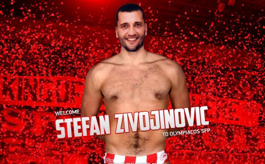 Στέφαν Ζιβογίνοβιτς