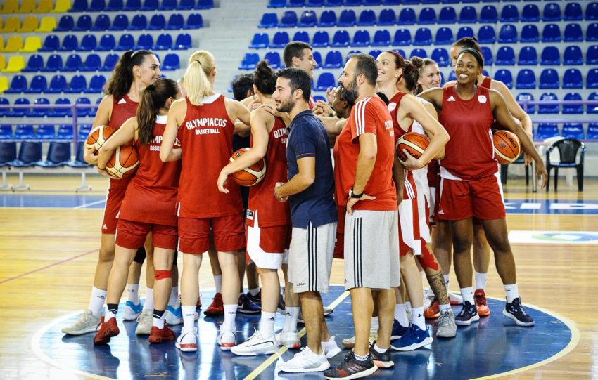 Ολυμπιακός μπάσκετ γυναικών