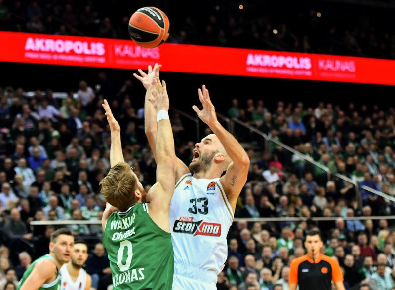 Ζαλγκίρις - Παναθηναϊκός