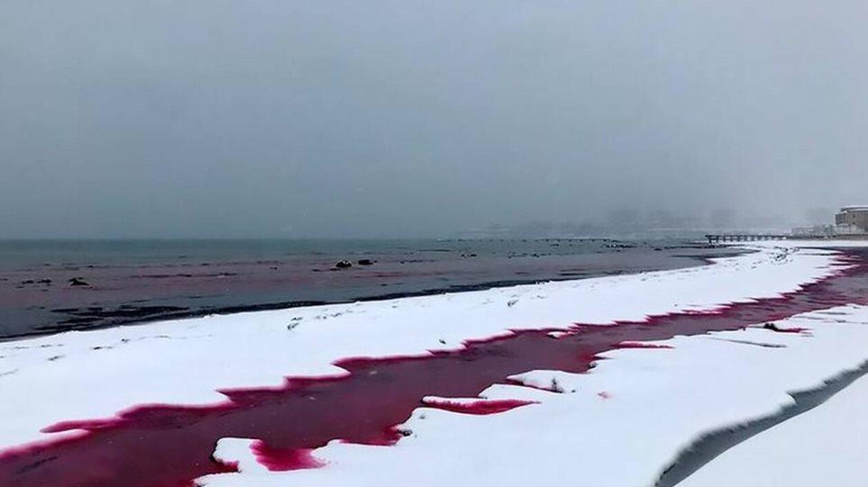 Καζακστάν κόκκινη θάλασσα Ακτάου