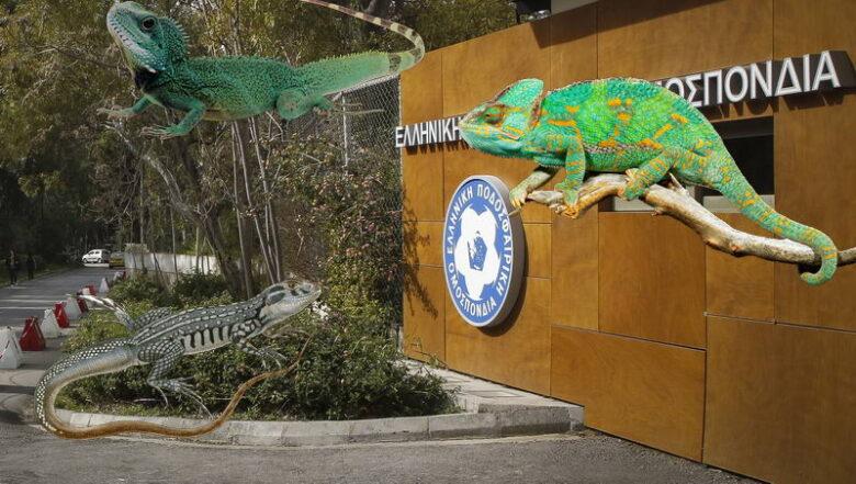 ΕΠΟ Πάρκο Γουδή ερπετά σαύρες