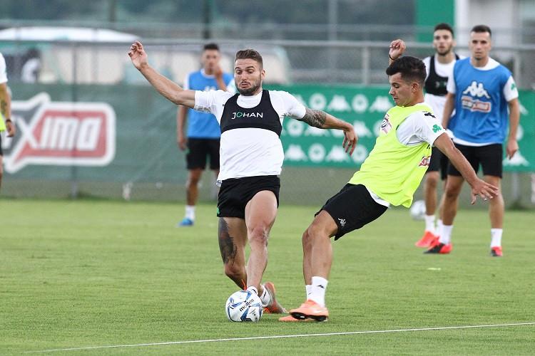 Σένκεφελντ