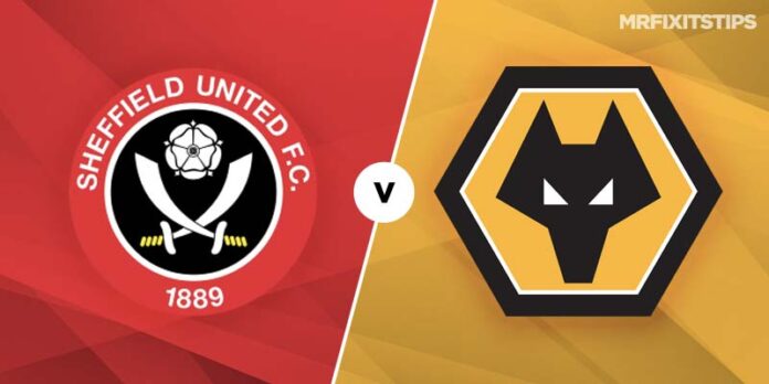 Sheffield United Wolves Live