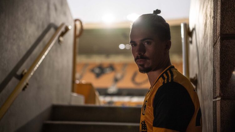 Γουλβς Βιτίνια