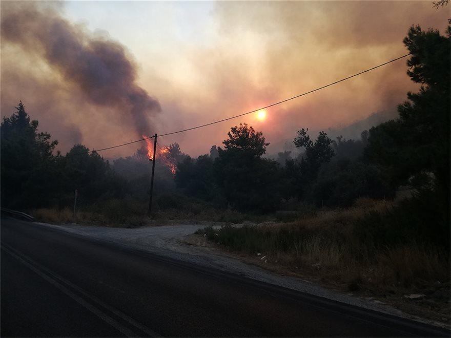 Σάμος-πυρκαγιά-φωτιά