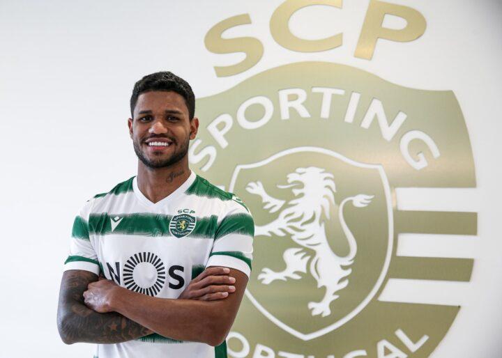 Ματέους Ρέις