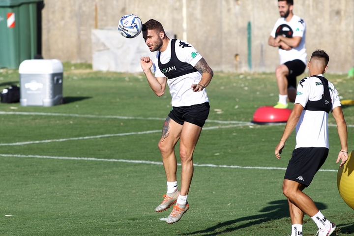 Σένκεφελντ