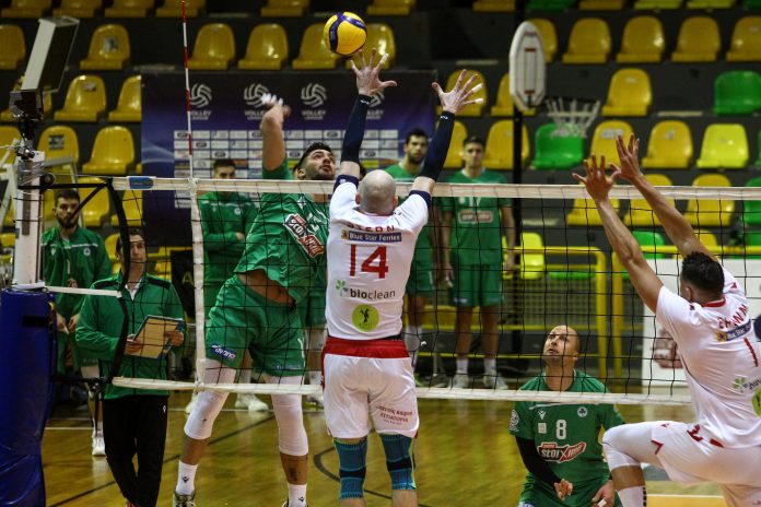 Παναθηναϊκός Φοίνικας