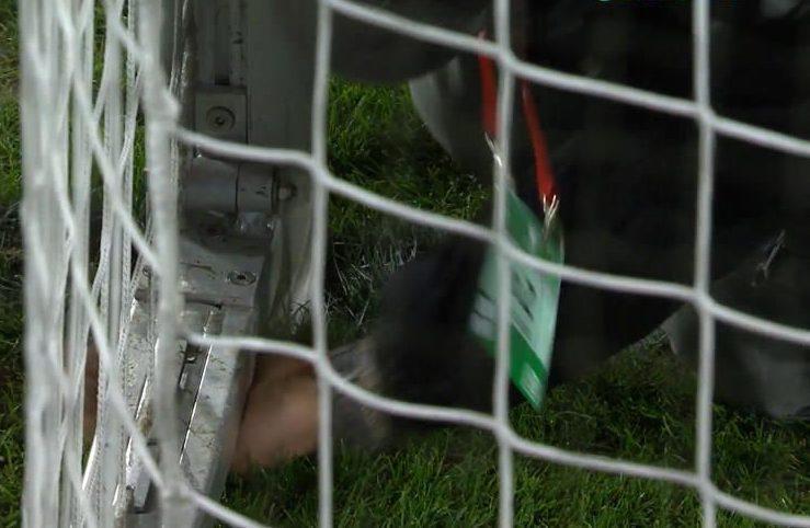 Λιθουανία Ελβετία