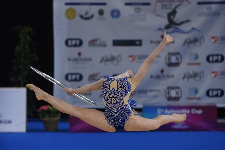 Ενόργανη γυμναστική