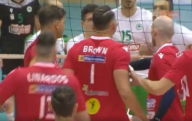 μπράουν φοίνικας παναθηναικος