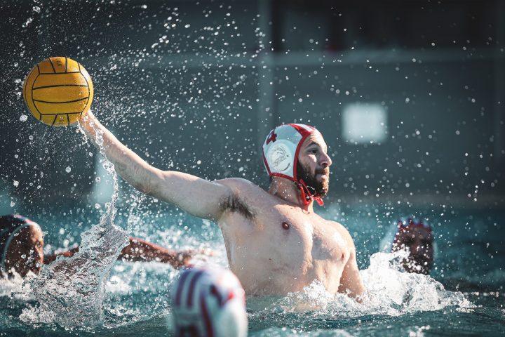 Γενηδουνιάς