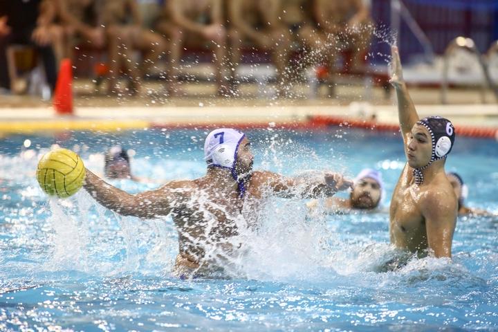 Παπαδόγκωνας