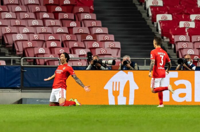 Ντάργουιν Νούνιες