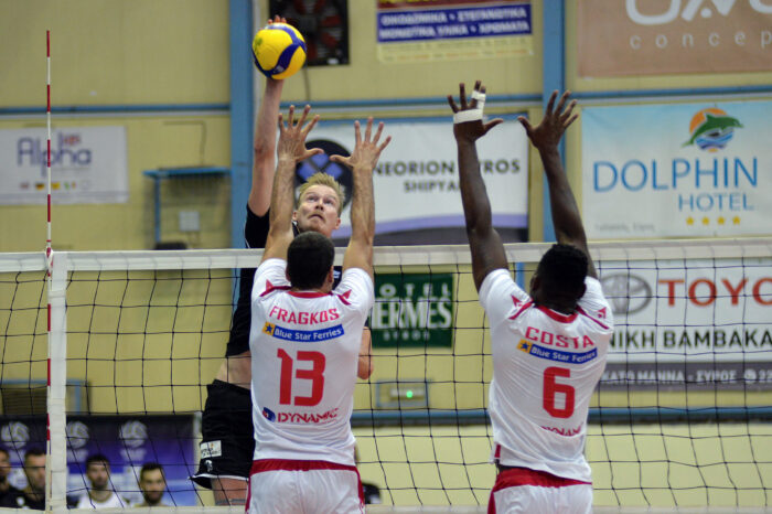 φοίνικας παοκ