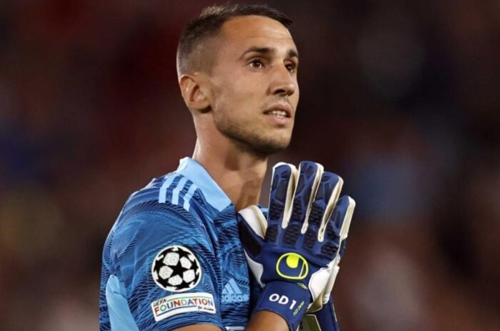 Σεφέροβιτς-Βλαχοδήμος