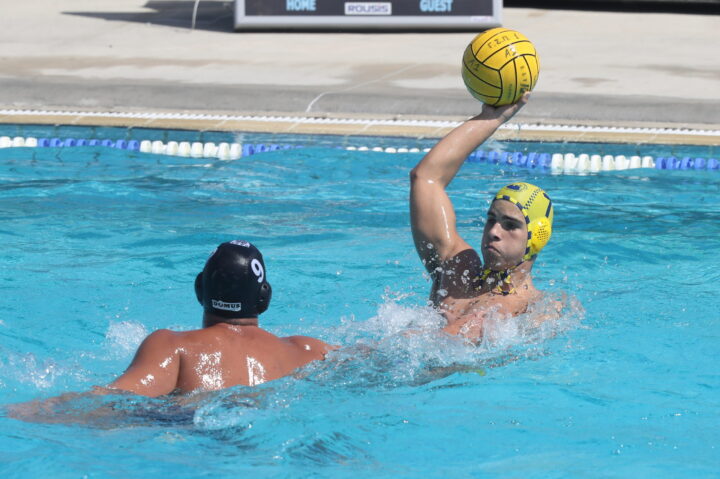 Περιστέρι ΠΑΟΚ