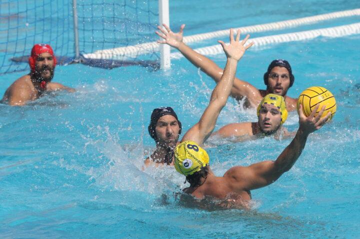 Περιστέρι ΠΑΟΚ