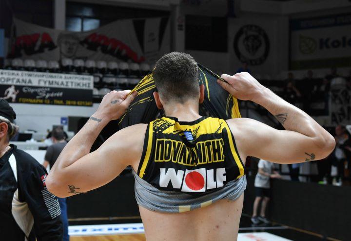 Πουλιανίτης Άρης