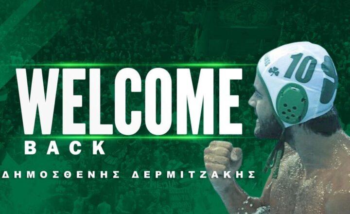 Δερμιτζάκης Παναθηναϊκός