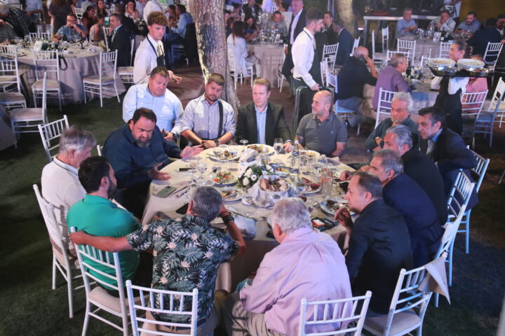 Μαρινάκης μεγαλομέτοχοι