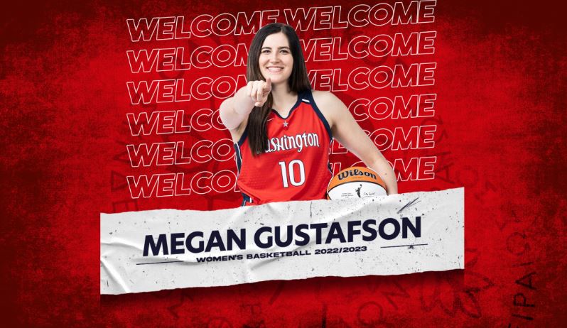 Γκούσταφσον