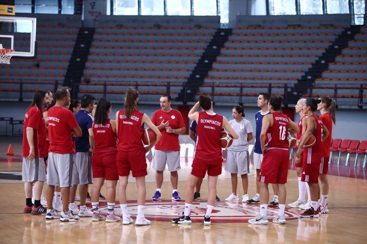 ολυμπιακός μπάσκετ γυναικών