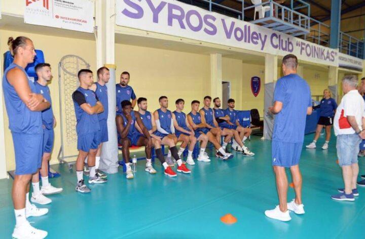 φοίνικας σύρου