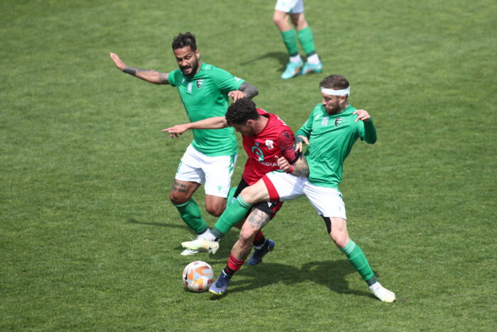 πανσερραϊκός