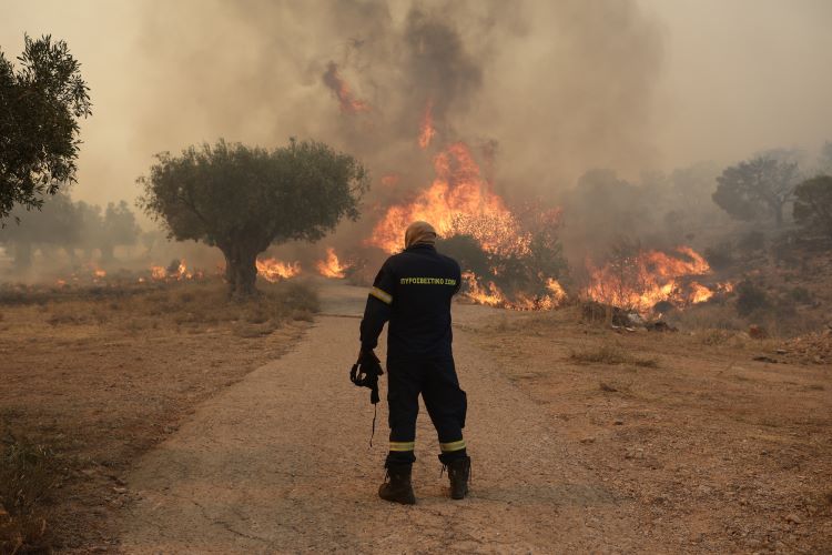 Δερβενοχώρια πυρκαγιά