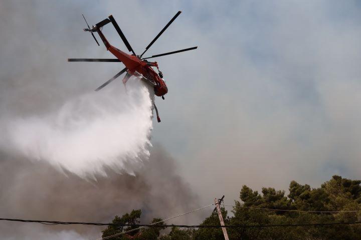 Πάρνηθα Φυλή πυρκαγιά
