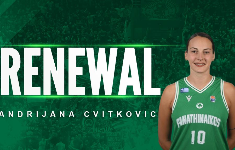 τσβίτκοβιτς