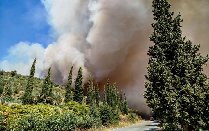 Πετριές Ευβοίας πυρκαγιά