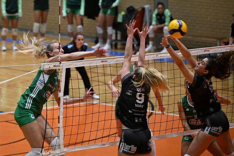 Παναθηναϊκός σεβίλλη