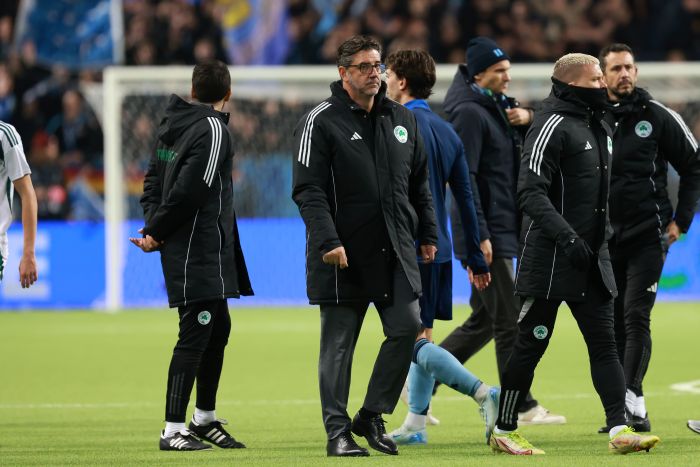 Ρουί Βιτόρια Τζουργκάρντεν - Παναθηναϊκός