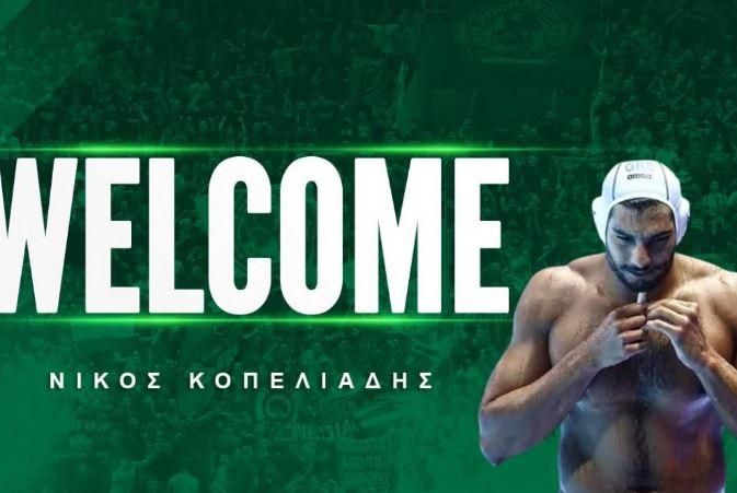 Νίκος Κοπελιάδης