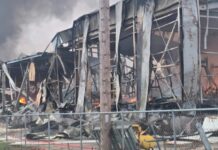 Βιολάντα πυρκαγιά