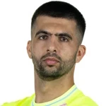 N. Labrovic