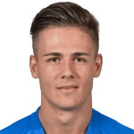 V. Fernandez