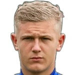 H. Godsmark-Ford